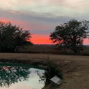 Meet your Posher, Brooks